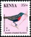 Scarlet-chested Sunbird (Chalcomitra senegalensis)